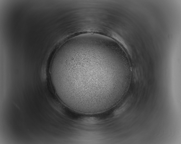 X0000088040203200705251308