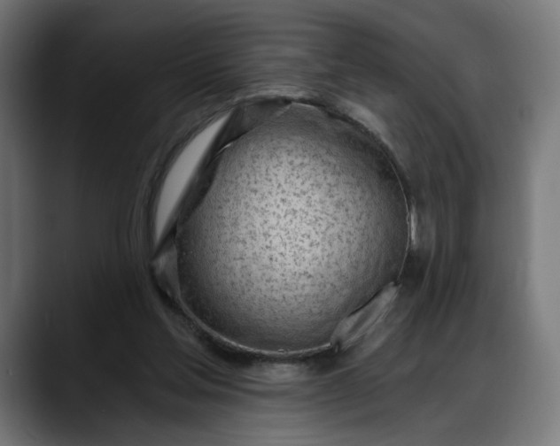 X0000088040205200705251308