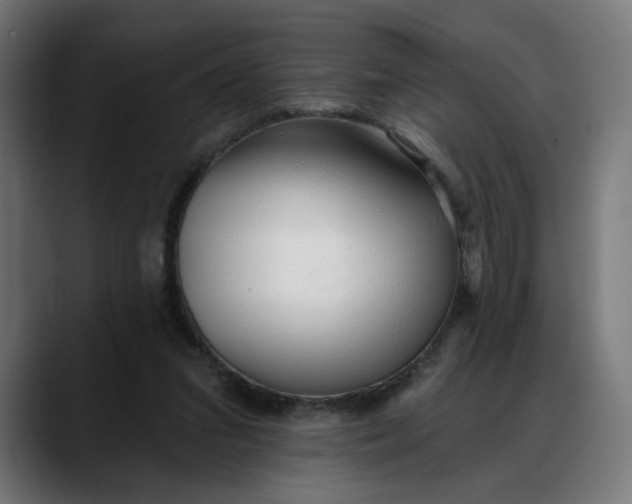 X0000088040207200705251308