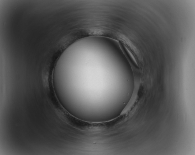 X0000088040209200705251308