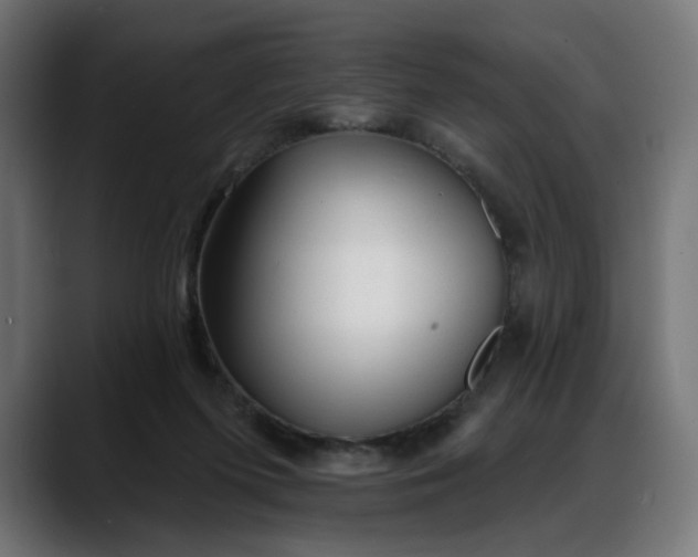 X0000088040215200705251308