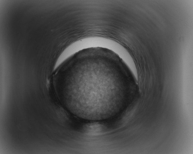 X0000088040219200705251308