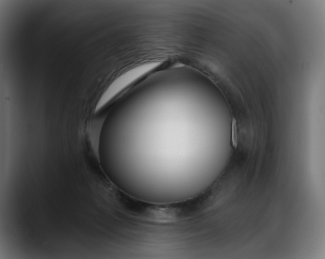 X0000088040221200705251308