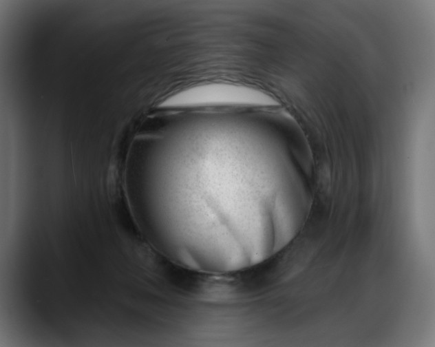 X0000088040222200705251308