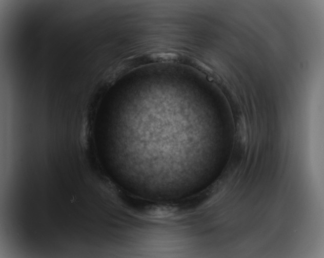 X0000088040223200705251308