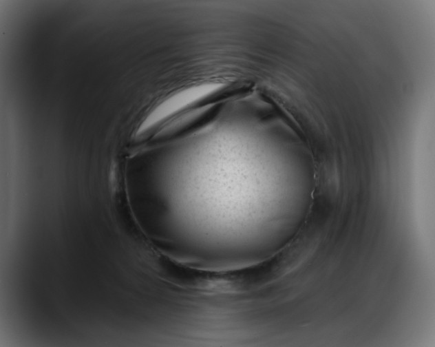 X0000088040224200705251308