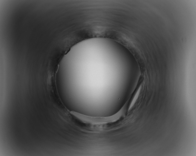 X0000088040225200705251308