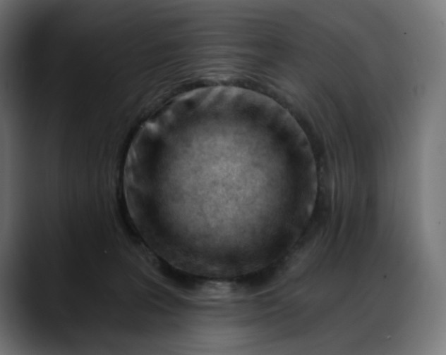 X0000088040227200705251308