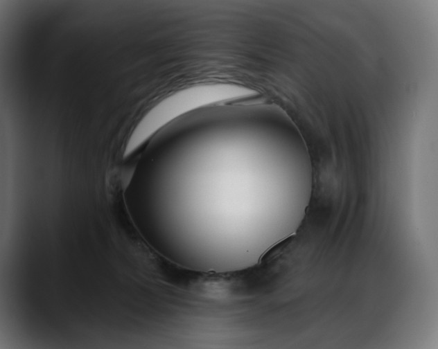 X0000088040228200705251308