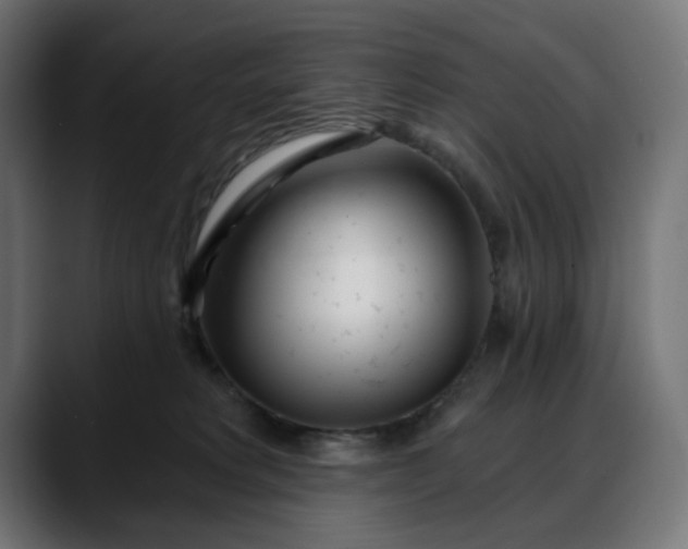 X0000088040229200705251308