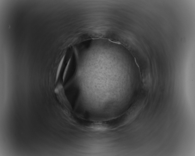 X0000088040231200705251308