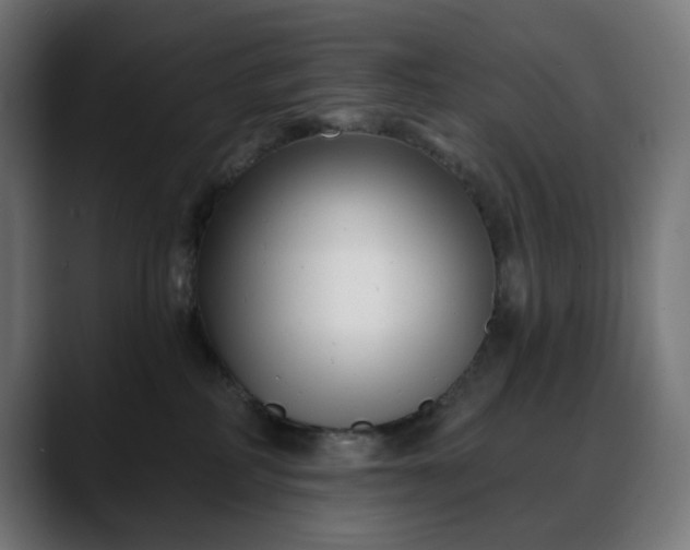 X0000088040234200705251308