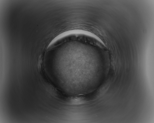 X0000088040235200705251308