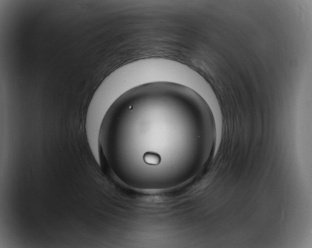 X0000088040237200705251308