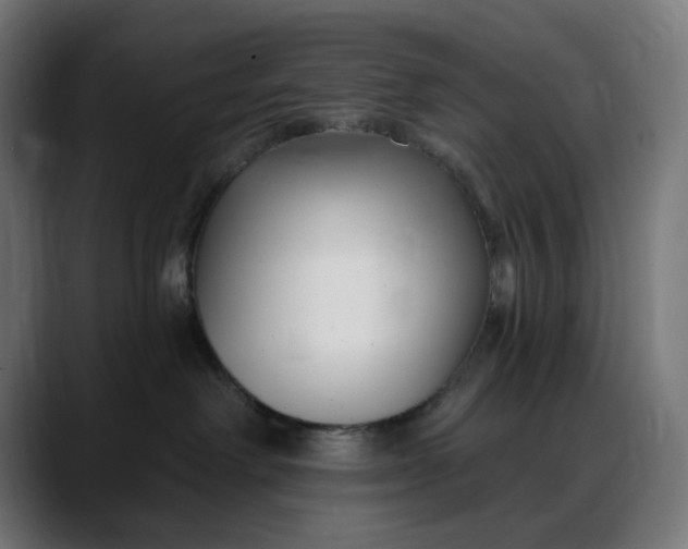 X0000088040238200705251308