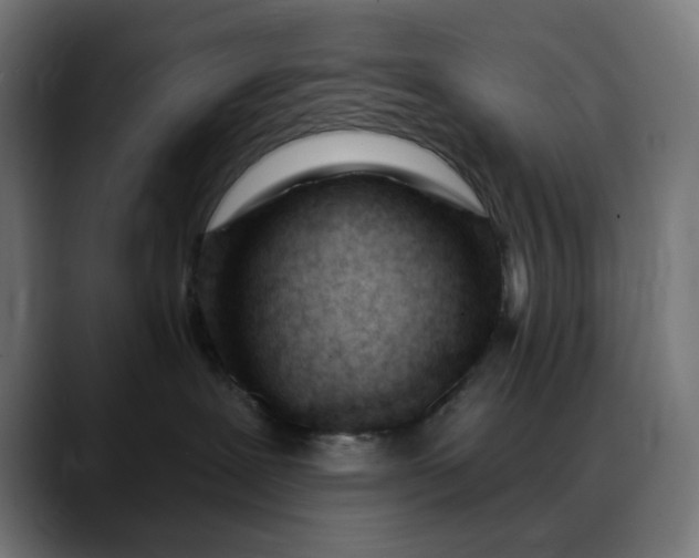 X0000088040239200705251308