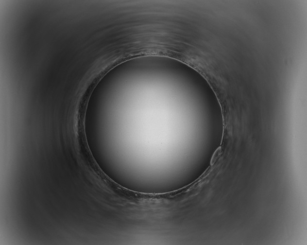 X0000088040242200705251307