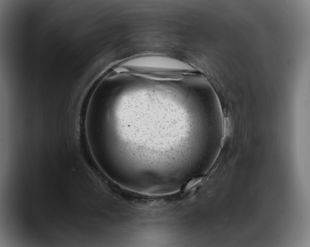 X0000088040243200705251307