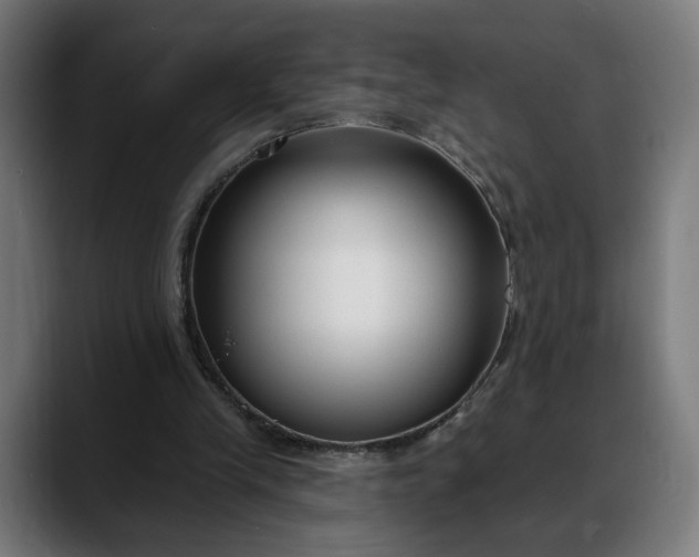 X0000088040245200705251307