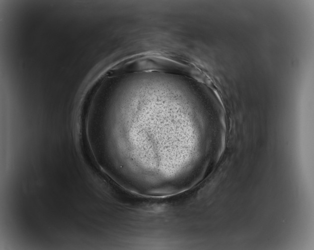 X0000088040247200705251307