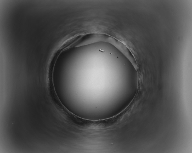 X0000088040248200705251307