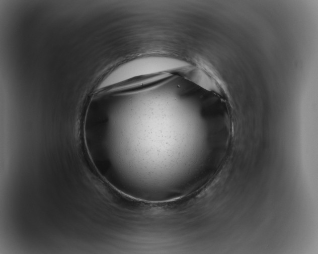 X0000088040249200705251307