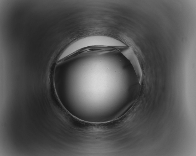 X0000088040250200705251307