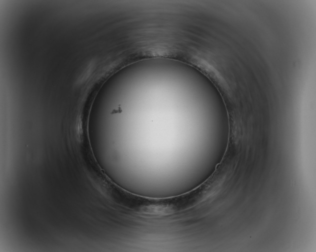 X0000088040251200705251307