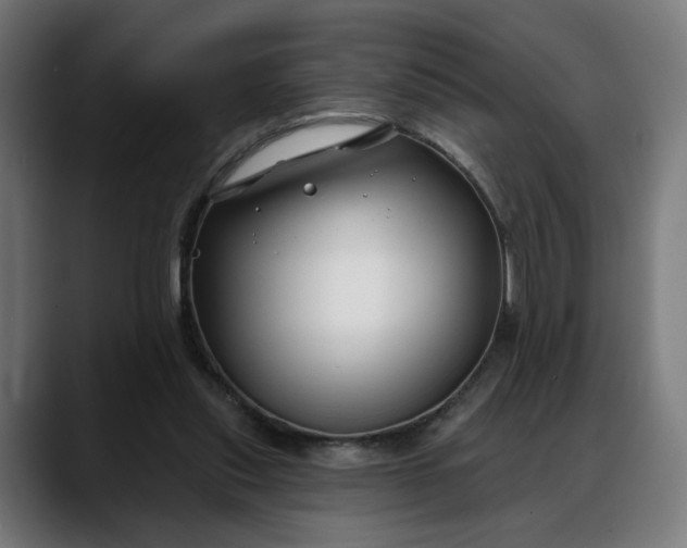 X0000088040253200705251307