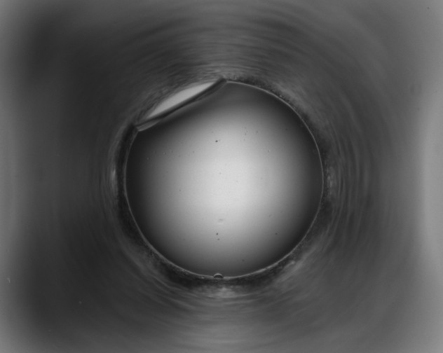 X0000088040254200705251307