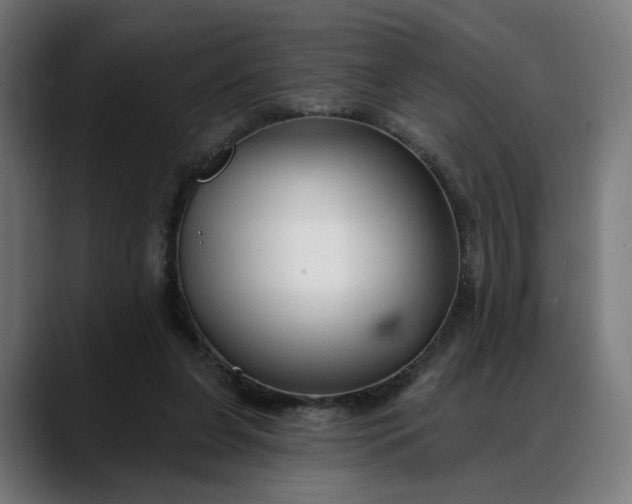 X0000088040255200705251307