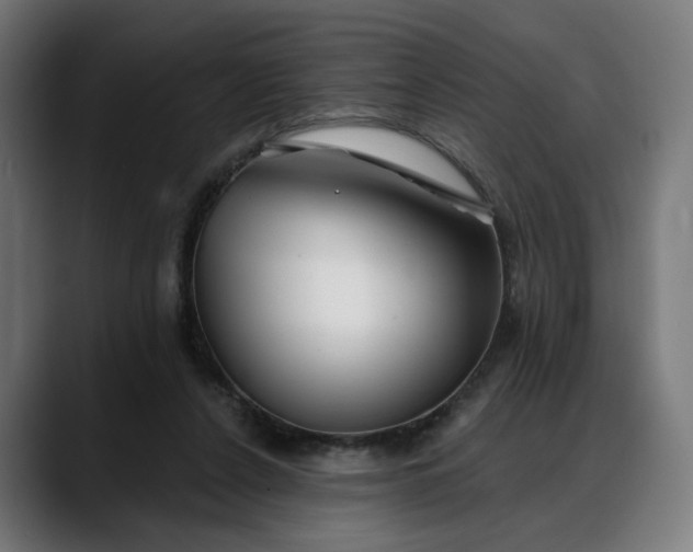 X0000088040256200705251307