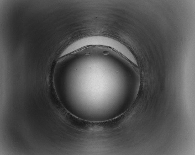 X0000088040258200705251307