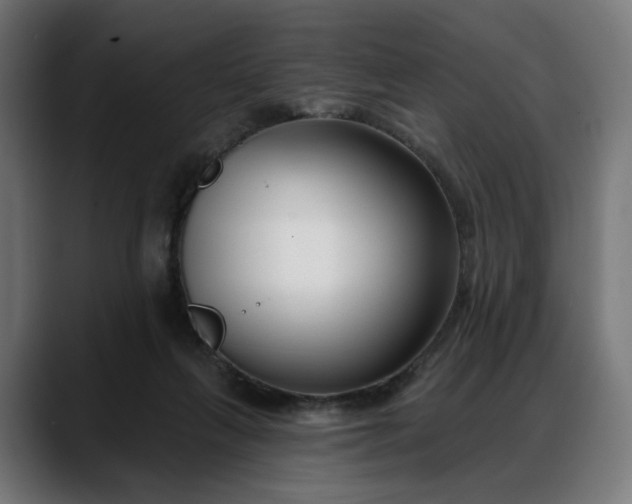 X0000088040263200705251307