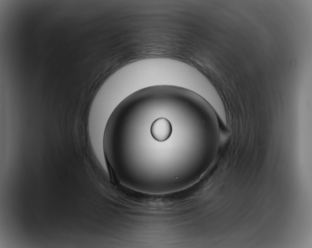 X0000088040264200705251308