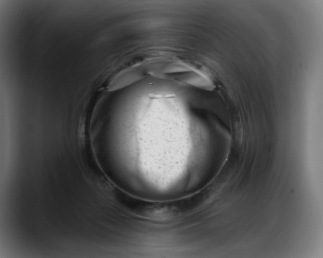 X0000088040267200705251308