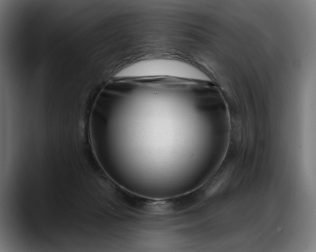 X0000088040269200705251308