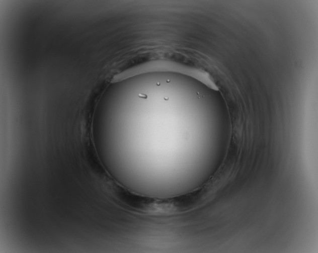 X0000088040270200705251308