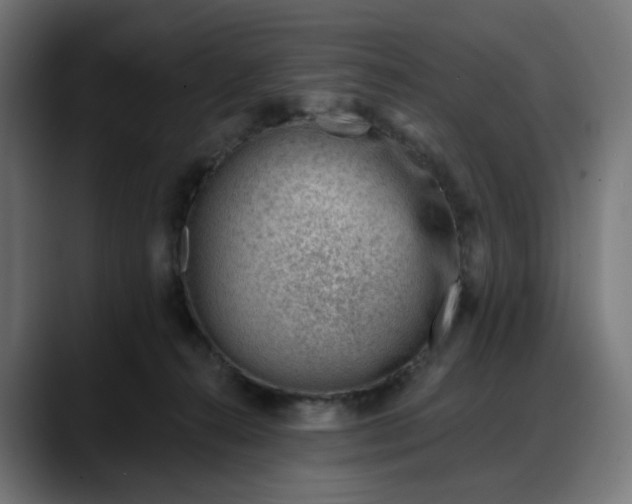 X0000088040272200705251308