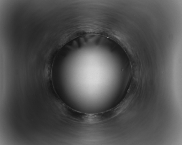 X0000088040273200705251308