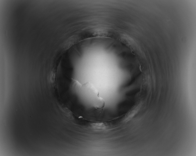 X0000088040281200705251308