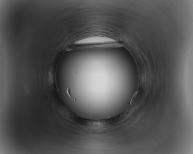 X0000088040282200705251308