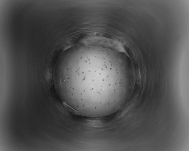 X0000088040284200705251308