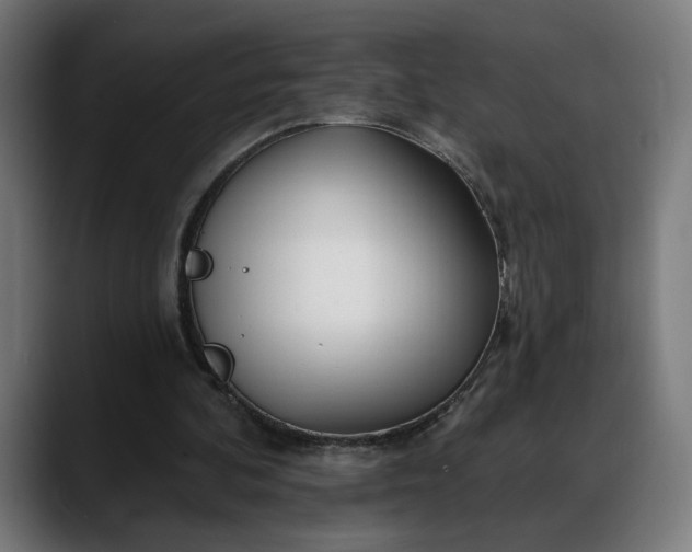 X0000088040292200705251307