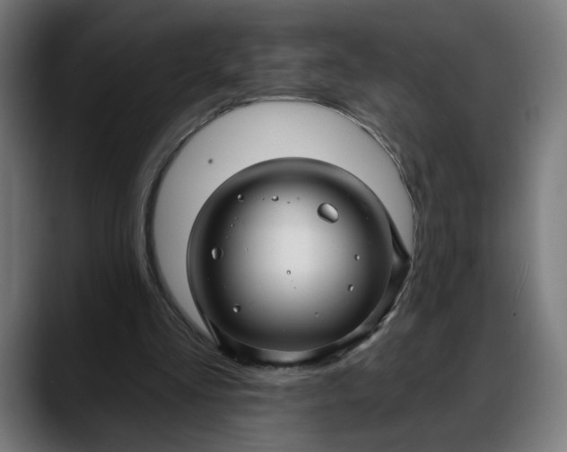 X0000088040293200705251307