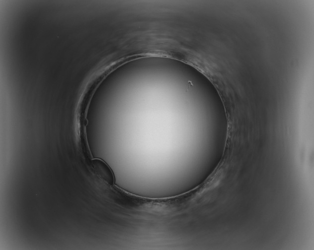 X0000088040294200705251307