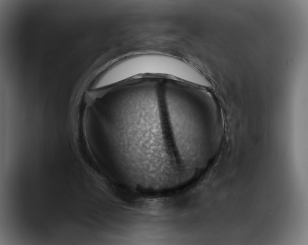 X0000088040295200705251307