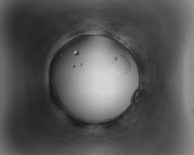 X0000088040296200705251307