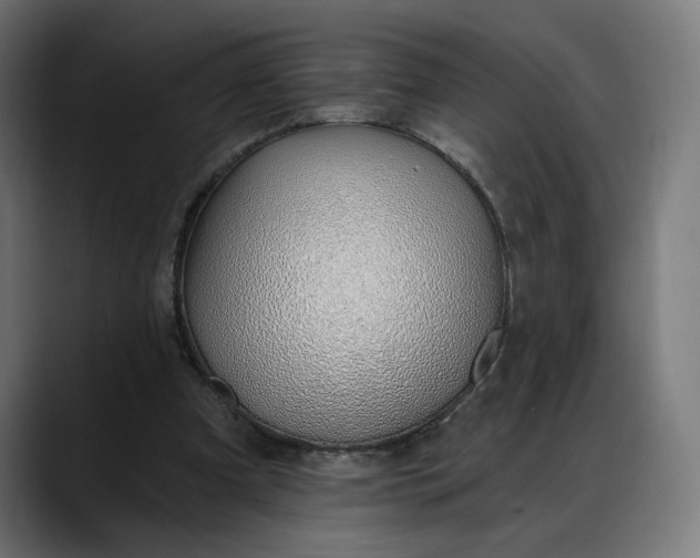 X0000088040297200705251307