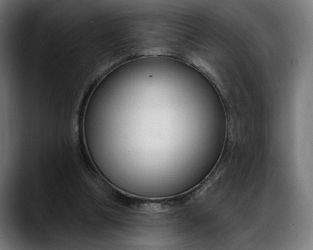 X0000088040298200705251307